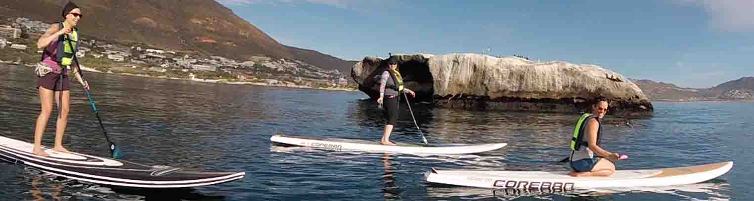Stand-up Paddle Boarding Penguin Experience