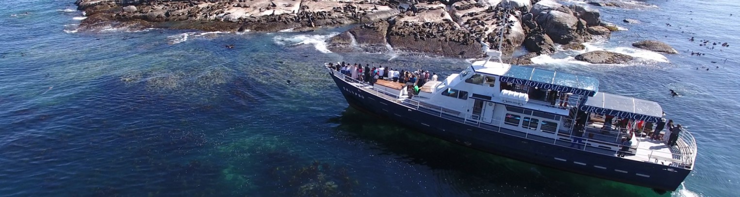 Seal Island Cruise
