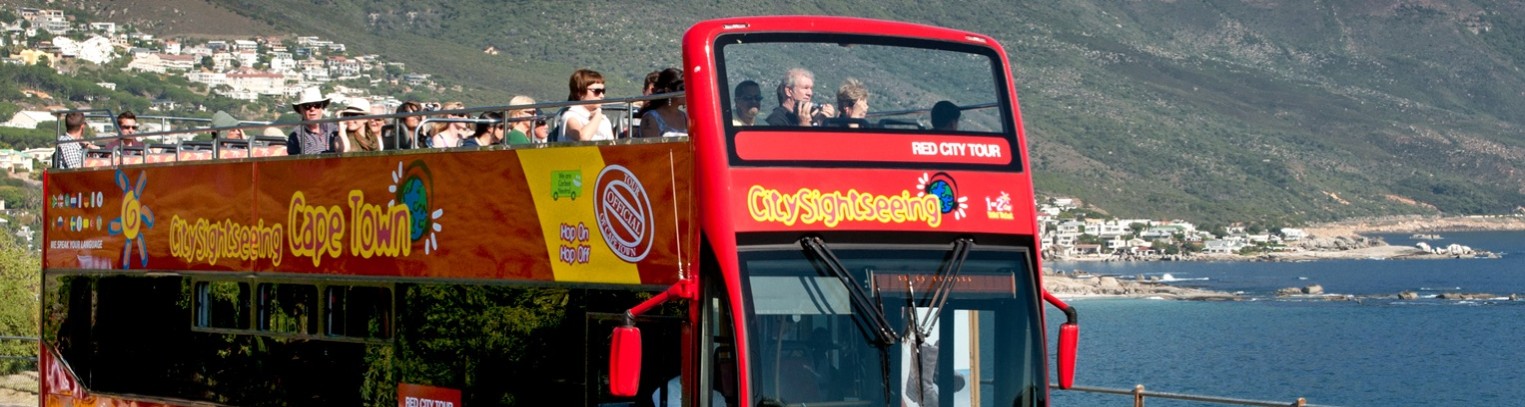 City Sightseeing (Red Bus) Tour