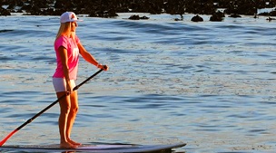 Stand-up Paddle Boarding Penguin Experience